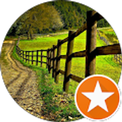 Profile photo of Lis A