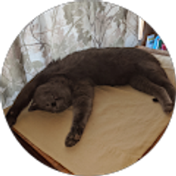 Profile photo of Aaron Reyes