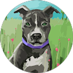 Profile photo of Liz Kim