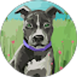 Profile photo of Liz Kim