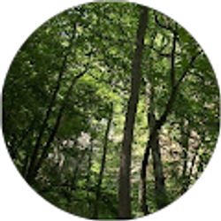 Profile photo of Jen Royer