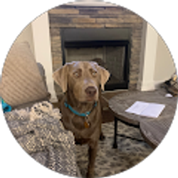 Profile photo of John M Totten