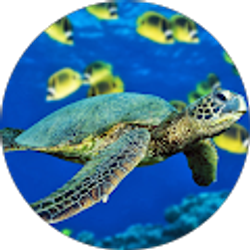 Profile photo of rebecca payton