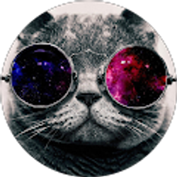 Profile photo of Carlina Ferrer