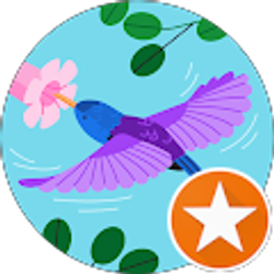 Profile photo of Cheri Parkinson