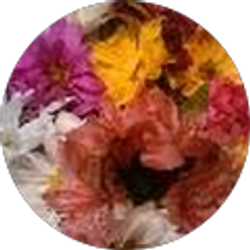 Profile photo of Tami Treantos