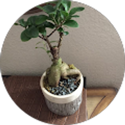 Profile photo of Jeff Smith