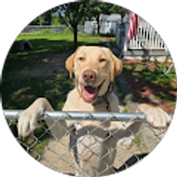 Profile photo of Dean Pennell