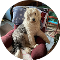 Profile photo of Butch Eberhart