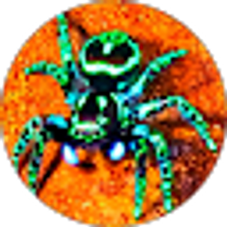 Profile photo of Mojo-Joejoe “Ninja_Drazah”