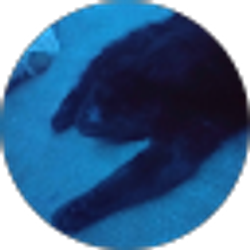 Profile photo of Alexander Vivo