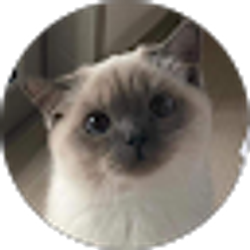 Profile photo of Val