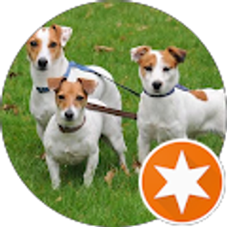 Profile photo of Gina Snow