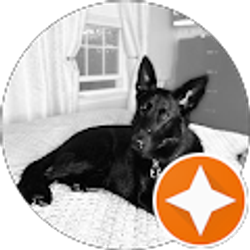 Profile photo of Graciela Vera