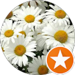 Profile photo of Lorna Absher