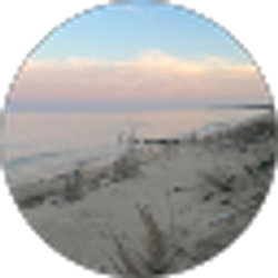Profile photo of Let your Harassment Go
