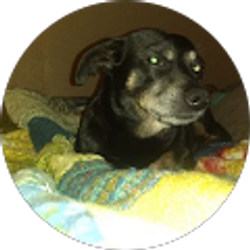 Profile photo of Karianna Johnson