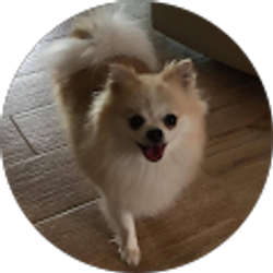 Profile photo of Shelley Panzella