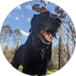 Profile photo of chellsea stemper