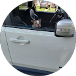 Profile photo of Dottie Robinson Jenkins