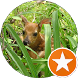 Profile photo of Karen Simonds