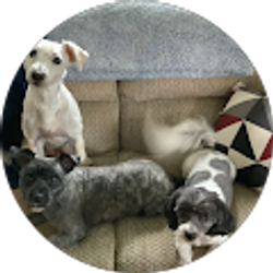 Profile photo of Anthony Morley