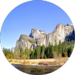 Profile photo of Aharon C