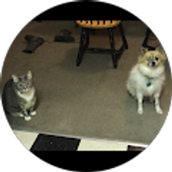 Profile photo of Aziza Kelly-Hampton