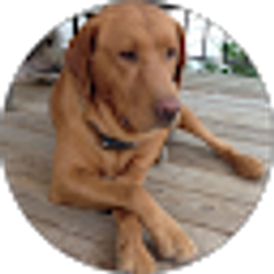 Profile photo of Emily Brewer