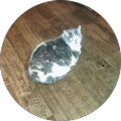 Profile photo of Lynn Mroczenski