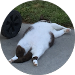 Profile photo of Madison Wimbish