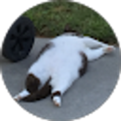 Profile photo of Madison Wimbish