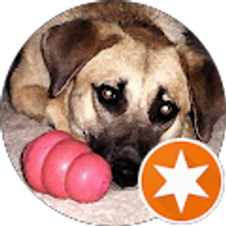 Profile photo of DOGKISSES