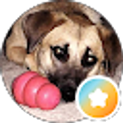 Profile photo of DOGKISSES