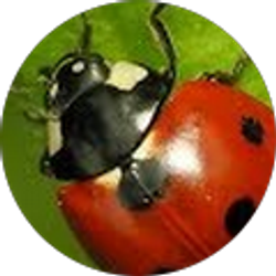 Profile photo of Chelsea Kobylarz