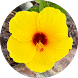 Profile photo of Wendy R