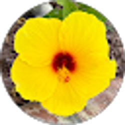 Profile photo of Wendy R