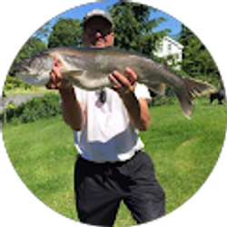 Profile photo of Tim Reynolds