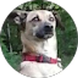 Profile photo of Jake Tittle