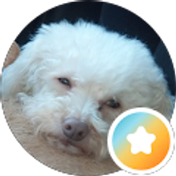 Profile photo of Linda Zager