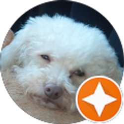 Profile photo of Linda Zager