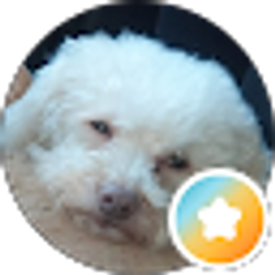 Profile photo of Linda Zager