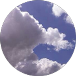 Profile photo of Regina Brandle Ramirez