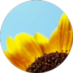 Profile photo of Kim Bracewell