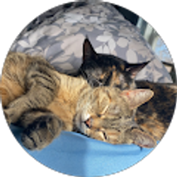 Profile photo of Elizabeth Detter