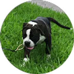 Profile photo of Alicia Stern - My Info