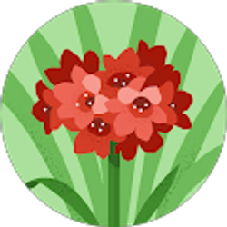 Profile photo of Alberta De Jesus