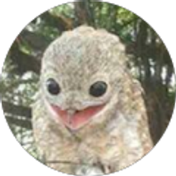 Profile photo of Ghost Lively