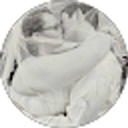 Profile photo of Whitney Nelson