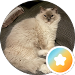 Profile photo of Peggy Schmeiderer